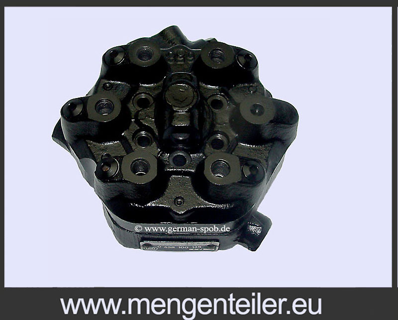 0986438135 | 0 986 438 135 Bosch Mengenteiler 👉 Regeneriert 👈 | Audi  - mengenteiler.eu