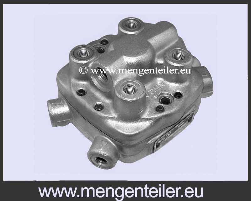 0438101005 | 0 438 101 005 Bosch Fuel Distributor 👉 Regenerated 👈 | Audi SEAT VW  - mengenteiler.eu